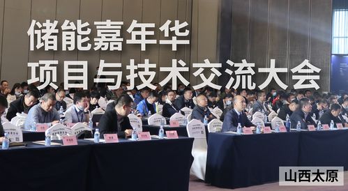 2020儲(chǔ)能嘉年華項(xiàng)目與技術(shù)交流大會(huì)圓滿落幕 共探儲(chǔ)能未來，共享技術(shù)盛宴
